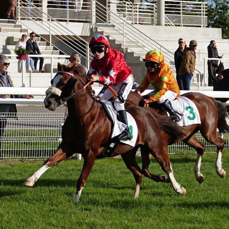 Deux jeunes jockeys en casaques colorées participent à une course de poneys sur une piste en herbe.